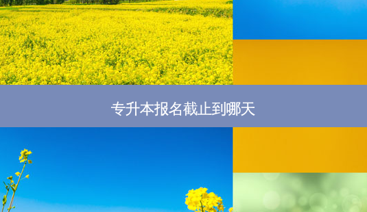 专升本报名截止到哪天-第1张图片-天智网 专升本报名截止到哪天-第1张图片-天智网