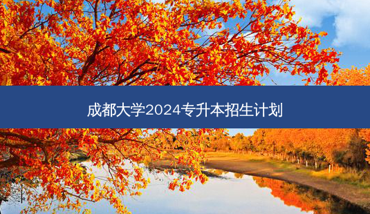 成都大学2024专升本招生计划-第1张图片-天智网 成都大学2024专升本招生计划-第1张图片-天智网