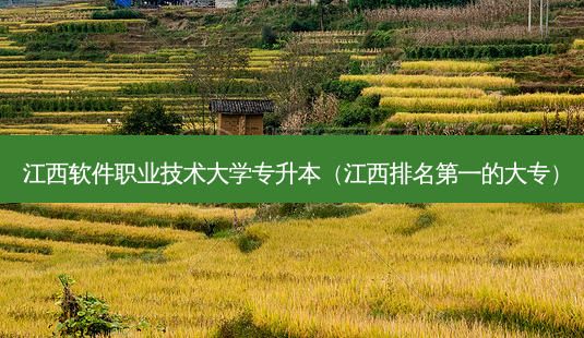 江西软件职业技术大学专升本(江西 *** 的大专)-第1张图片-天智网 江西软件职业技术大学专升本(江西 *** 的大专)-第1张图片-天智网