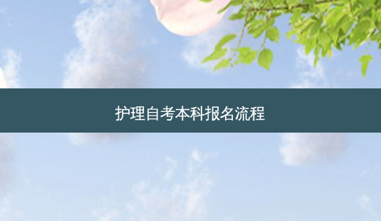 护理自考本科报名流程-第1张图片-天智网 护理自考本科报名流程-第1张图片-天智网