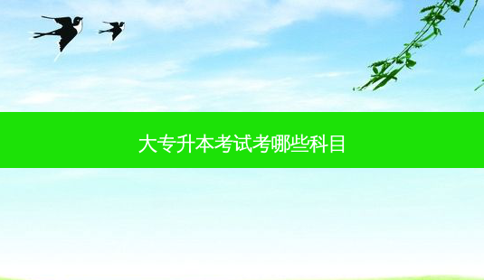 大专升本考试考哪些科目-第1张图片-天智网 大专升本考试考哪些科目-第1张图片-天智网