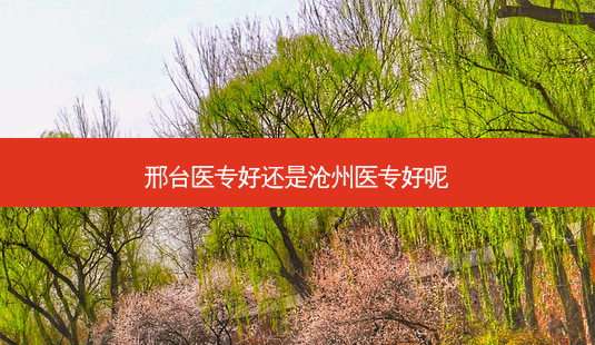 邢台医专好还是沧州医专好呢-第1张图片-天智网 邢台医专好还是沧州医专好呢-第1张图片-天智网