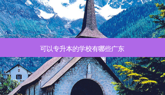 可以专升本的学校有哪些广东-第1张图片-天智网 可以专升本的学校有哪些广东-第1张图片-天智网