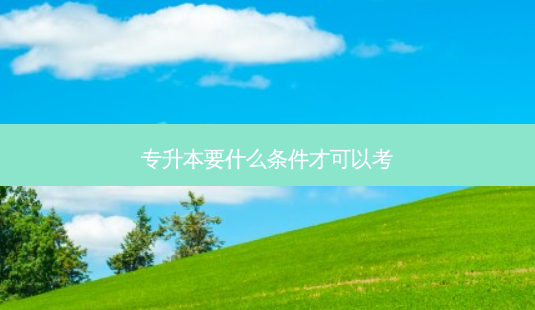 专升本要什么条件才可以考-第1张图片-天智网 专升本要什么条件才可以考-第1张图片-天智网