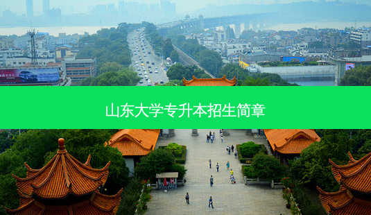 山东大学专升本招生简章-第1张图片-天智网 山东大学专升本招生简章-第1张图片-天智网