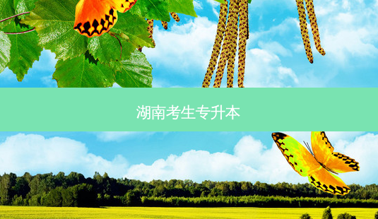 湖南考生专升本-第1张图片-天智网 湖南考生专升本-第1张图片-天智网
