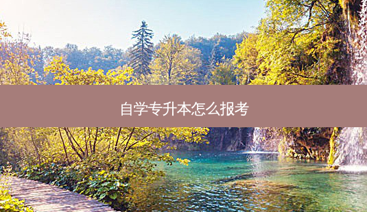 自学专升本怎么报考-第1张图片-天智网 自学专升本怎么报考-第1张图片-天智网