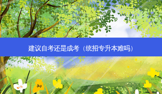 建议自考还是成考(统招专升本难吗)-第1张图片-天智网 建议自考还是成考(统招专升本难吗)-第1张图片-天智网
