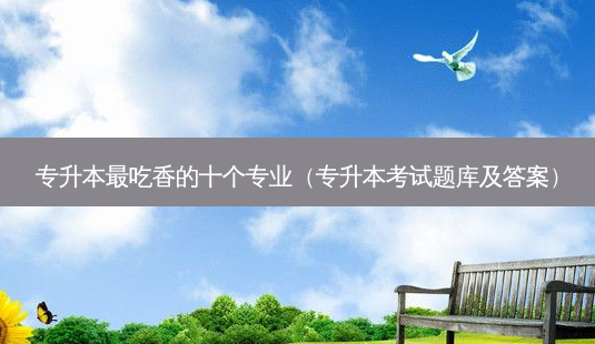 专升本 *** 吃香的十个专业(专升本考试题库及答案)-第1张图片-天智网 专升本 *** 吃香的十个专业(专升本考试题库及答案)-第1张图片-天智网