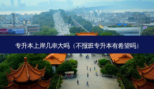 专升本上岸几率大吗(不报班专升本有希望吗)-第1张图片-天智网 专升本上岸几率大吗(不报班专升本有希望吗)-第1张图片-天智网