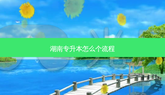 湖南专升本怎么个流程-第1张图片-天智网 湖南专升本怎么个流程-第1张图片-天智网