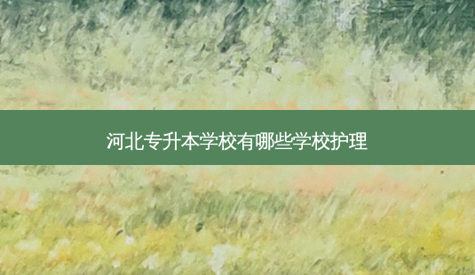 河北专升本学校有哪些学校护理-第1张图片-天智网 河北专升本学校有哪些学校护理-第1张图片-天智网