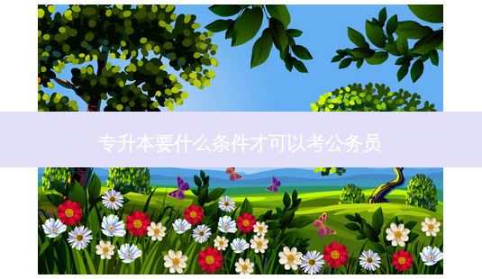 专升本要什么条件才可以考公务员-第1张图片-天智网 专升本要什么条件才可以考公务员-第1张图片-天智网