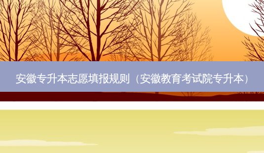 安徽专升本志愿填报规则(安徽教育考试院专升本)-第1张图片-天智网 安徽专升本志愿填报规则(安徽教育考试院专升本)-第1张图片-天智网