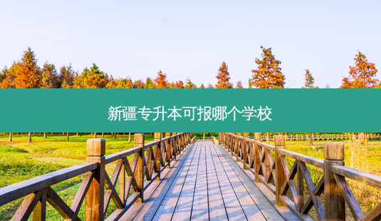 新疆专升本可报哪个学校-第1张图片-天智网 新疆专升本可报哪个学校-第1张图片-天智网