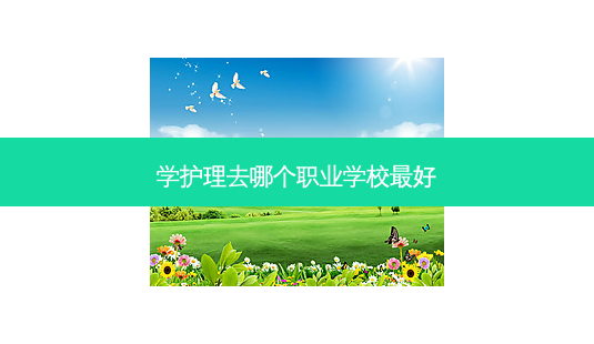 学护理去哪个职业学校 *** 好-第1张图片-天智网 学护理去哪个职业学校 *** 好-第1张图片-天智网