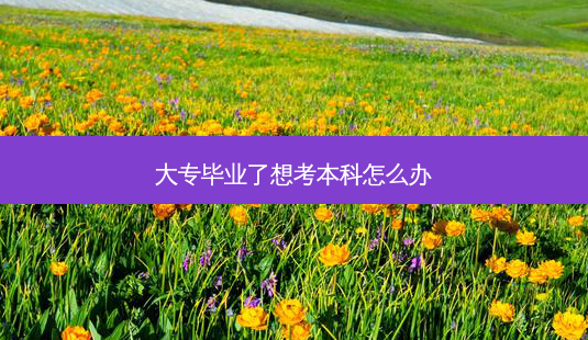 大专毕业了想考本科怎么办-第1张图片-天智网 大专毕业了想考本科怎么办-第1张图片-天智网