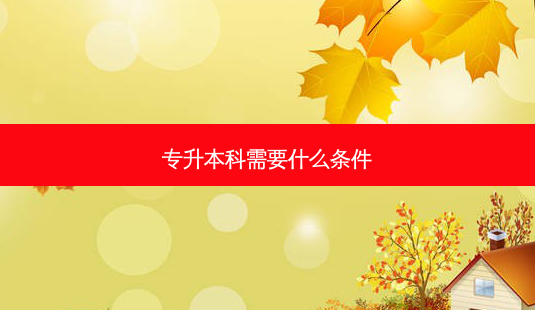 专升本科需要什么条件-第1张图片-天智网 专升本科需要什么条件-第1张图片-天智网
