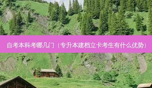 自考本科考哪几门(专升本建档立卡考生有什么优势)-第1张图片-天智网 自考本科考哪几门(专升本建档立卡考生有什么优势)-第1张图片-天智网