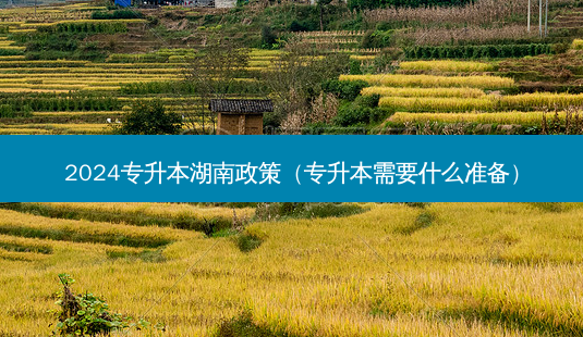 2024专升本湖南政策(专升本需要什么准备)-第1张图片-天智网 2024专升本湖南政策(专升本需要什么准备)-第1张图片-天智网