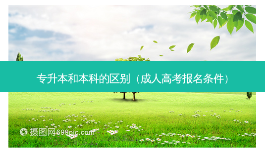 专升本和本科的区别(成人高考报名条件)-第1张图片-天智网 专升本和本科的区别(成人高考报名条件)-第1张图片-天智网