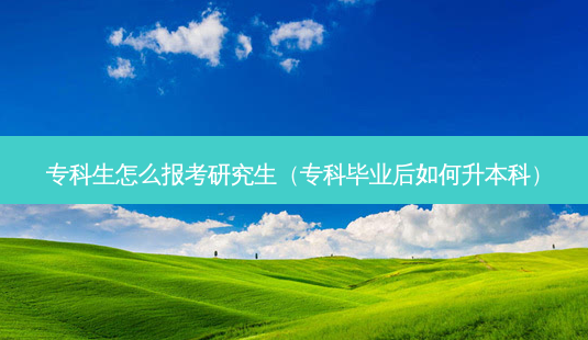 专科生怎么报考研究生(专科毕业后如何升本科)-第1张图片-天智网 专科生怎么报考研究生(专科毕业后如何升本科)-第1张图片-天智网