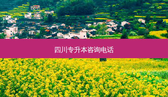 四川专升本咨询 *** -第1张图片-天智网 四川专升本咨询 *** -第1张图片-天智网