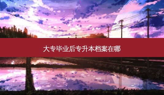 大专毕业后专升本档案在哪-第1张图片-天智网 大专毕业后专升本档案在哪-第1张图片-天智网