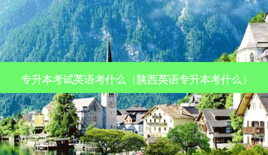 专升本考试英语考什么(陕西英语专升本考什么)-第1张图片-天智网 专升本考试英语考什么(陕西英语专升本考什么)-第1张图片-天智网