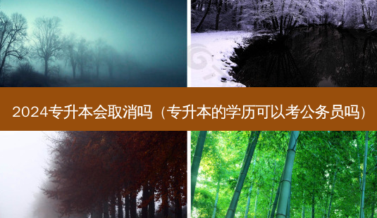 2024专升本会取消吗(专升本的学历可以考公务员吗)-第1张图片-天智网 2024专升本会取消吗(专升本的学历可以考公务员吗)-第1张图片-天智网