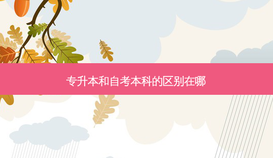 专升本和自考本科的区别在哪-第1张图片-天智网 专升本和自考本科的区别在哪-第1张图片-天智网
