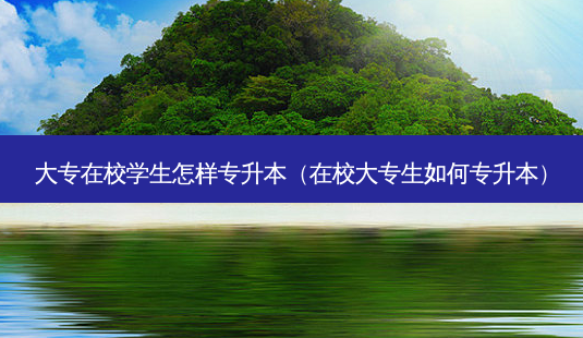 大专在校学生怎样专升本(在校大专生如何专升本)-第1张图片-天智网 大专在校学生怎样专升本(在校大专生如何专升本)-第1张图片-天智网