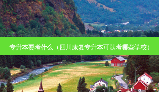 专升本要考什么(四川康复专升本可以考哪些学校)-第1张图片-天智网 专升本要考什么(四川康复专升本可以考哪些学校)-第1张图片-天智网