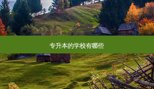 专升本的学校有哪些-第1张图片-天智网 专升本的学校有哪些-第1张图片-天智网