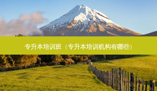 专升本培训班(专升本培训机构有哪些)-第1张图片-天智网 专升本培训班(专升本培训机构有哪些)-第1张图片-天智网