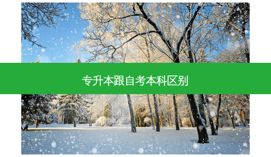 专升本跟自考本科区别-第1张图片-天智网 专升本跟自考本科区别-第1张图片-天智网