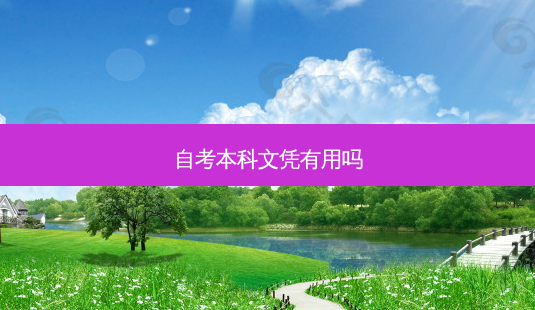 自考本科文凭有用吗-第1张图片-天智网 自考本科文凭有用吗-第1张图片-天智网