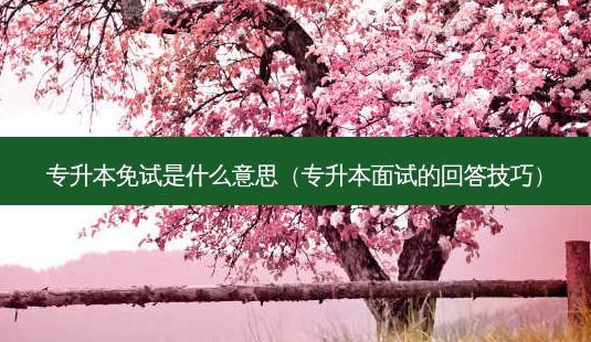 专升本免试是什么意思(专升本面试的回答技巧)-第1张图片-天智网 专升本免试是什么意思(专升本面试的回答技巧)-第1张图片-天智网