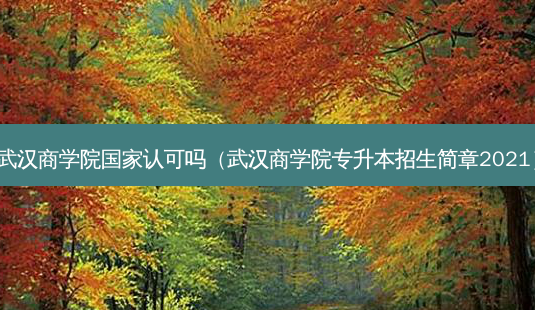 武汉商学院国家认可吗(武汉商学院专升本招生简章2021)-第1张图片-天智网 武汉商学院国家认可吗(武汉商学院专升本招生简章2021)-第1张图片-天智网