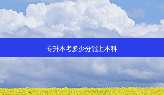 专升本考多少分能上本科-第1张图片-天智网 专升本考多少分能上本科-第1张图片-天智网