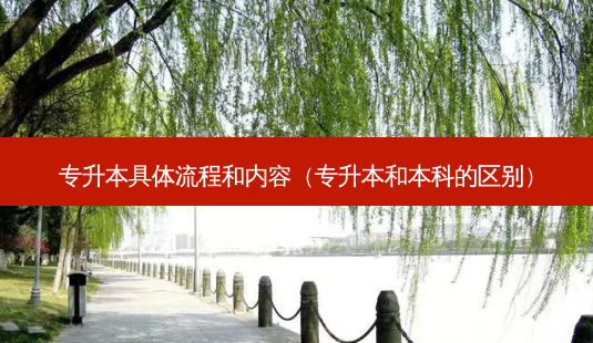专升本具体流程和内容(专升本和本科的区别)-第1张图片-天智网 专升本具体流程和内容(专升本和本科的区别)-第1张图片-天智网