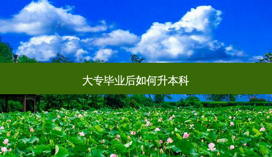 大专毕业后如何升本科-第1张图片-天智网 大专毕业后如何升本科-第1张图片-天智网