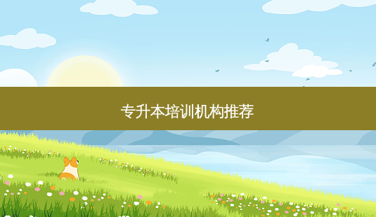 专升本培训机构推荐-第1张图片-天智网 专升本培训机构推荐-第1张图片-天智网