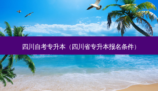 四川自考专升本(四川省专升本报名条件)-第1张图片-天智网 四川自考专升本(四川省专升本报名条件)-第1张图片-天智网