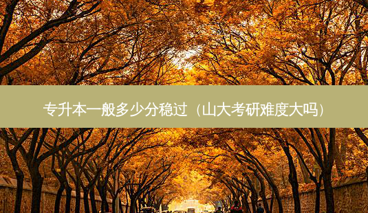 专升本一般多少分稳过(山大考研难度大吗)-第1张图片-天智网 专升本一般多少分稳过(山大考研难度大吗)-第1张图片-天智网
