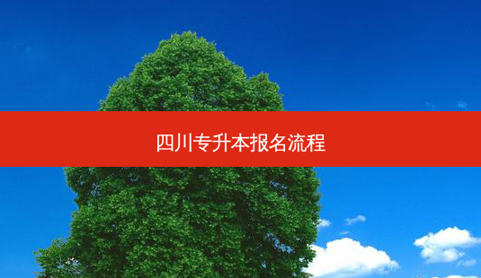 四川专升本报名流程-第1张图片-天智网 四川专升本报名流程-第1张图片-天智网