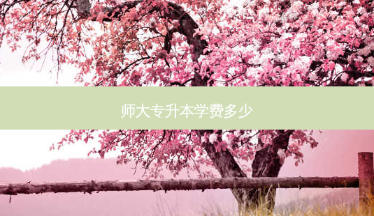 师大专升本学费多少-第1张图片-天智网 师大专升本学费多少-第1张图片-天智网