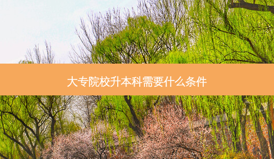 大专院校升本科需要什么条件-第1张图片-天智网 大专院校升本科需要什么条件-第1张图片-天智网