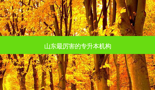 山东 *** 厉害的专升本机构-第1张图片-天智网 山东 *** 厉害的专升本机构-第1张图片-天智网