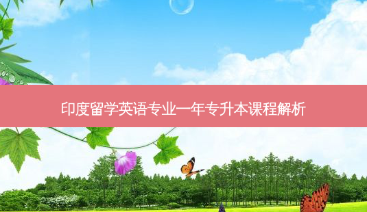 印度留学英语专业一年专升本课程解析-第1张图片-天智网 印度留学英语专业一年专升本课程解析-第1张图片-天智网